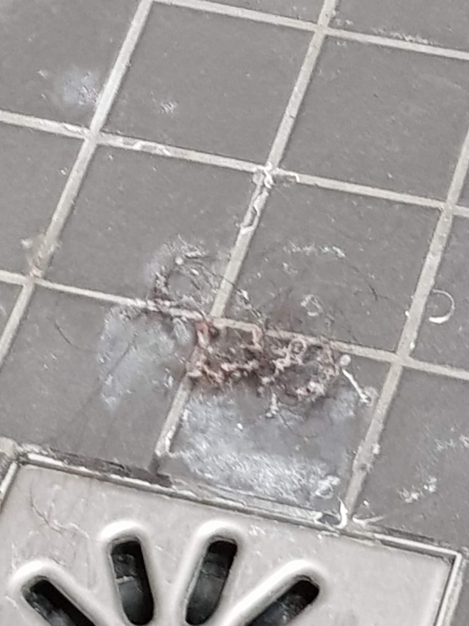 Photo n° 10 de l'avis de Pauline.r fait le 10/07/2019 à 10:26