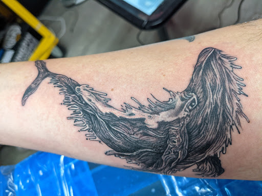 Tattoo Shop «True Art Tattoos, Inc», reviews and photos, 4118 Lorain Ave, Cleveland, OH 44113, USA