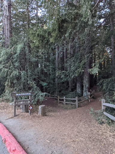 Madrone Picnic Area