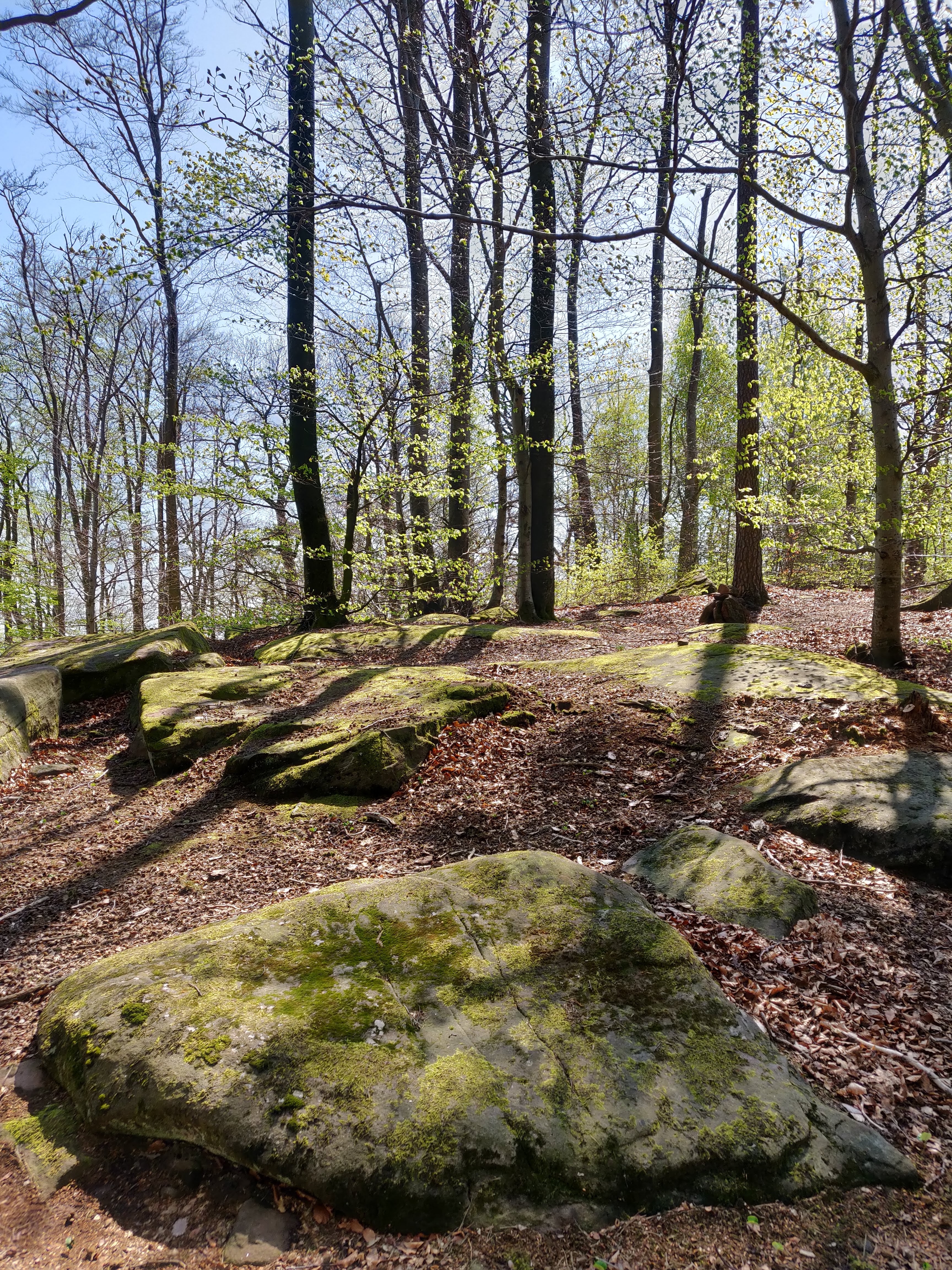 Photo n° 7 de l'avis de Felten.e fait le 19/04/2019 à 14:30