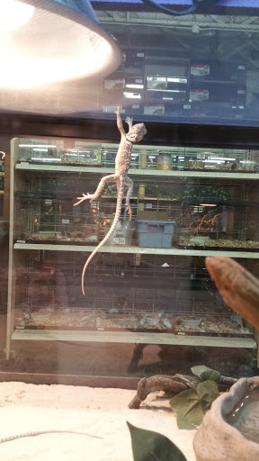 Pet Store «The Pet Zone», reviews and photos, 20 W Oak St, Pittston, PA 18640, USA