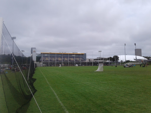Stadium «Bob Ford Field At Tom & Mary Casey Stadium», reviews and photos, 1400 Washington Avenue, Albany, NY 12222, USA