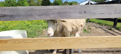 Wedding Venue «Rancho Alegre Farm», reviews and photos, 2225 Givens Rd, Dacula, GA 30019, USA