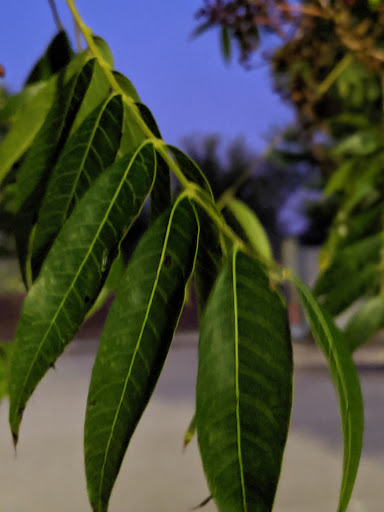 Public Swimming Pool «Frances Meadows Aquatic Center», reviews and photos, 1545 Community Way, Gainesville, GA 30501, USA