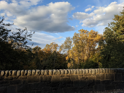 Nature Preserve «Tregaron Conservancy», reviews and photos, 3100 Macomb St NW, Washington, DC 20008, USA