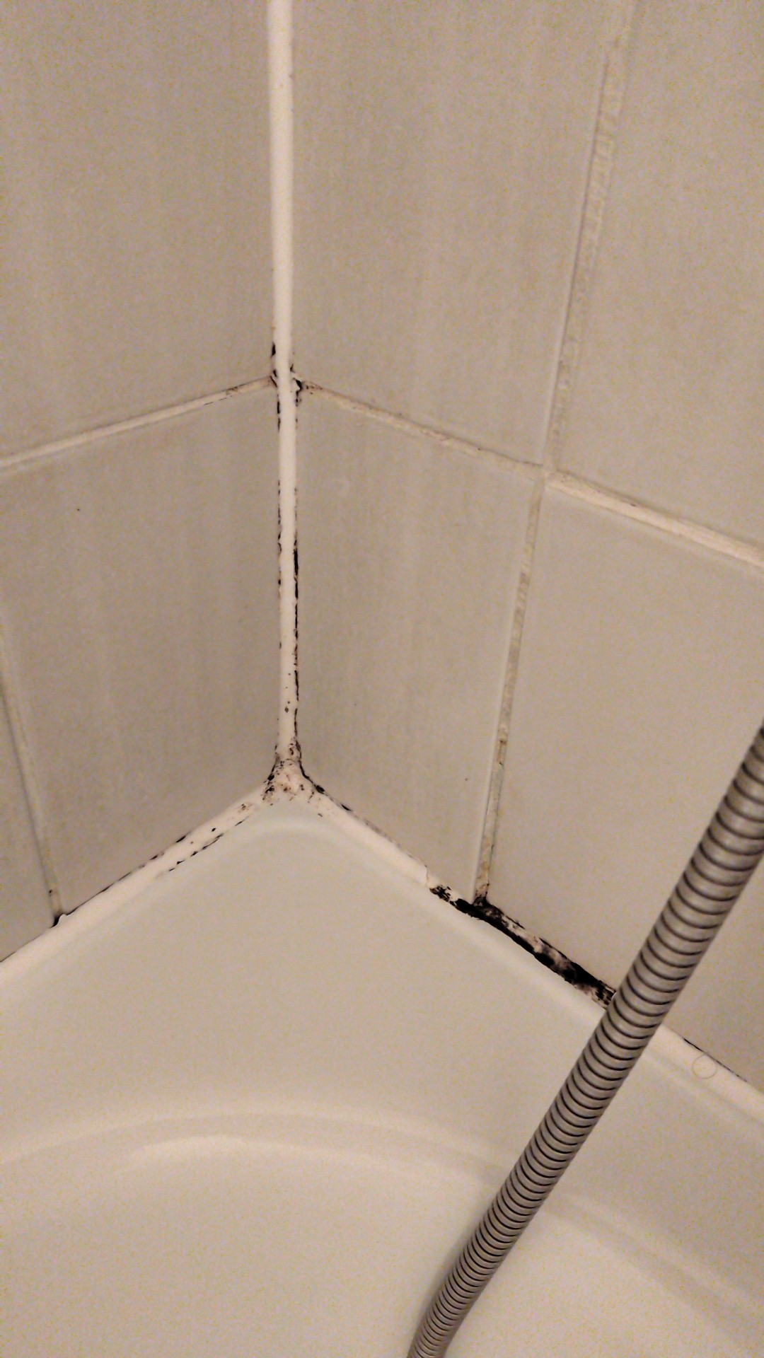 Photo n° 1 de l'avis de Florian.i fait le 18/01/2023 à 21:11