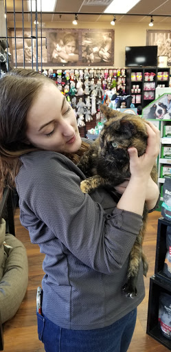 Pet Store «Pet Valu», reviews and photos, 378 Kelly Rd, Vernon, CT 06066, USA