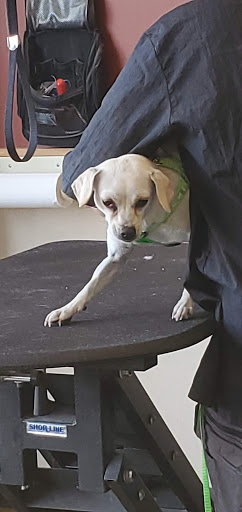 Pet Supply Store «Pet Supplies Plus», reviews and photos, 1791 W Columbia Ave, Battle Creek, MI 49015, USA