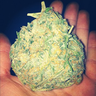 Tobacco Shop «VooDoo Smoke Shop», reviews and photos, 966 Gayley Ave, Los Angeles, CA 90024, USA