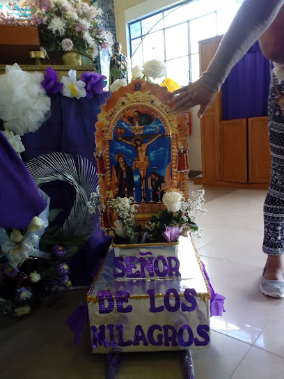Parroquia Nuestra Señora Del Rosario