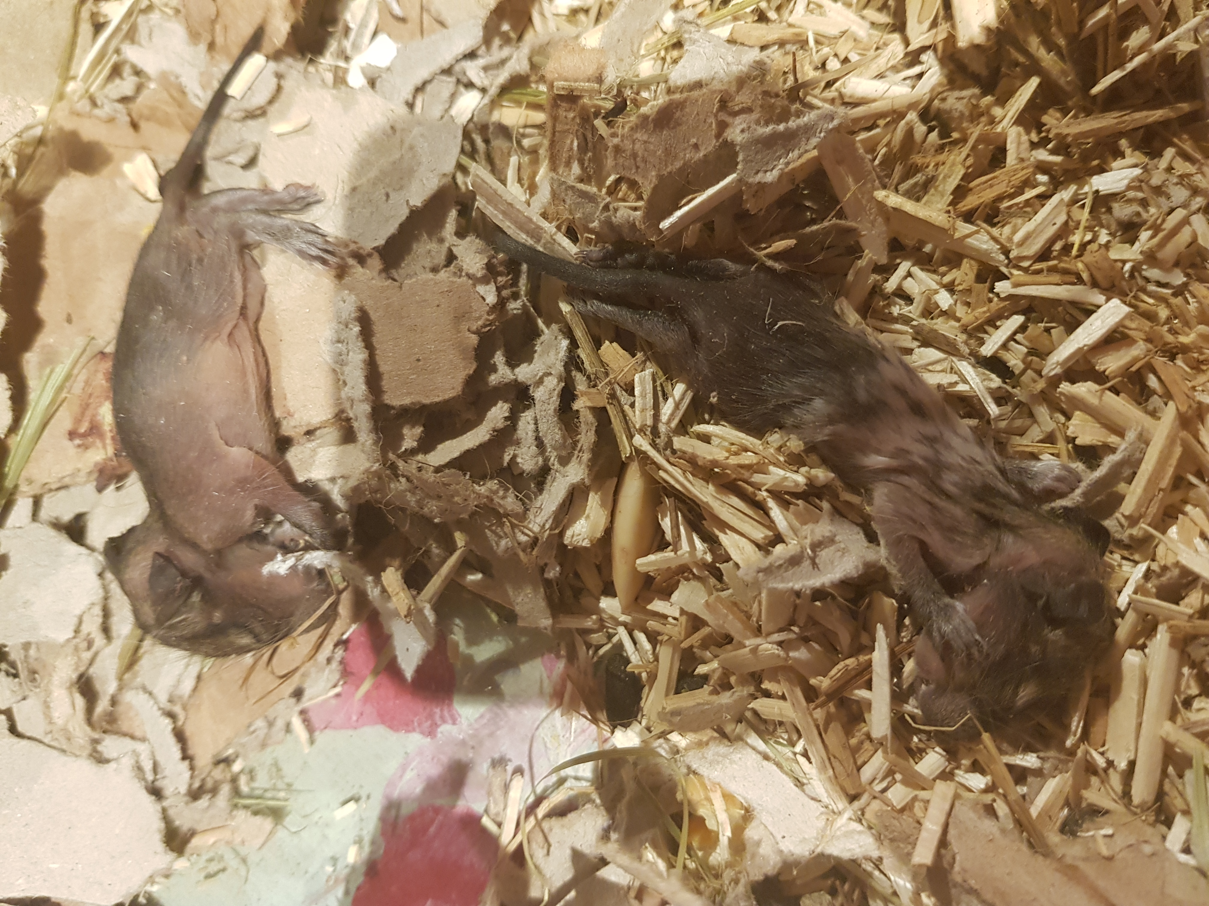 Photo n° 2 de l'avis de Saabb'. fait le 29/06/2019 à 11:14