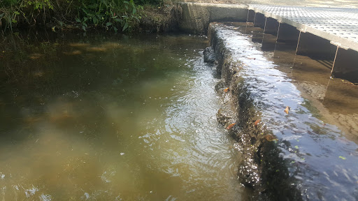 Nature Preserve «McDonald Woods Forest Preserve», reviews and photos, 19611 W Grass Lake Rd, Lake Villa, IL 60046, USA