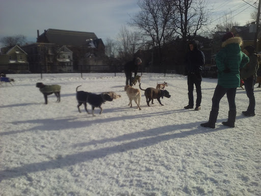Park «Nunziato Field Dog Park», reviews and photos, Putnam St, Somerville, MA 02143, USA