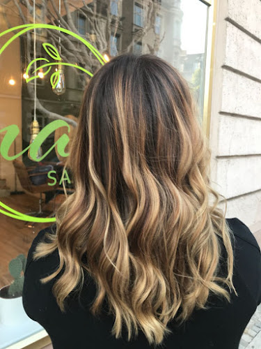 Salon Image
