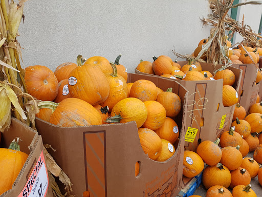 Grocery Store «Valli Produce of Glendale Heights», reviews and photos, 155 E N Ave, Glendale Heights, IL 60139, USA