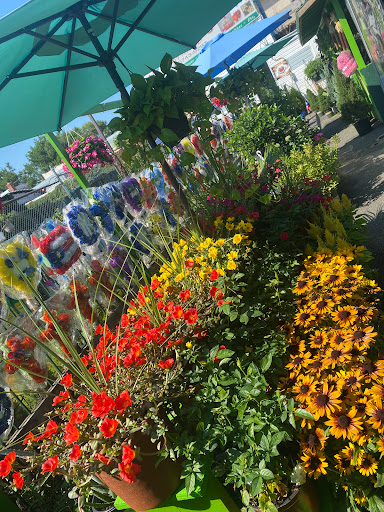 Florist «Flowers By Sanchez», reviews and photos, 78-10 Cypress Ave, Flushing, NY 11385, USA