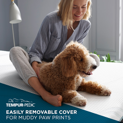 Bed Shop «The Mattress Experts», reviews and photos, 3525 NW Bascom Norris Dr, Lake City, FL 32055, USA