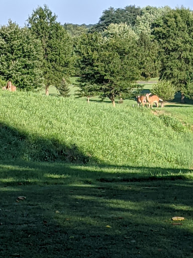 Public Golf Course «Clustered Spires Golf Club», reviews and photos, 8415 Gas House Pike, Frederick, MD 21701, USA