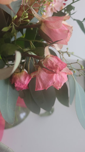 Florist «Derby Farm Flowers & Gardens», reviews and photos, 218 Massachusetts Ave, Arlington, MA 02474, USA