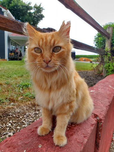 Brewery «MB Roland Distillery», reviews and photos, 137 Barkers Mill Rd, Pembroke, KY 42266, USA