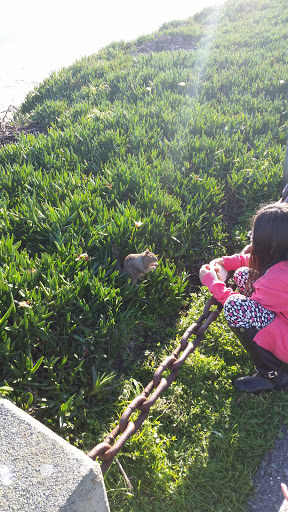 Cafe «The Good Harvest Cafe», reviews and photos, 575 US Hwy 101 S, Crescent City, CA 95531, USA