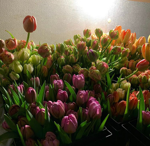 Florist «Arts & Flowers Inc», reviews and photos, 6011 Excelsior Blvd, Minneapolis, MN 55416, USA