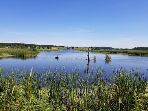 Horicon Marsh State Wildlife Area