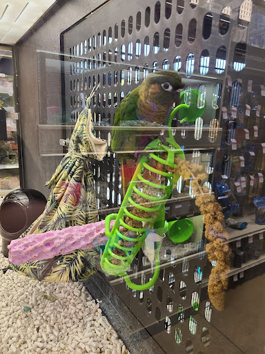 Pet Supply Store «PetSmart», reviews and photos, 2641 Lawndale Dr, Greensboro, NC 27408, USA