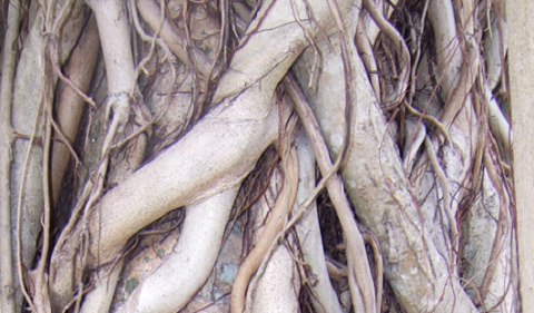 General Contractor «Right Turn Construction Inc», reviews and photos, 1205 E 33rd St, Vancouver, WA 98663, USA