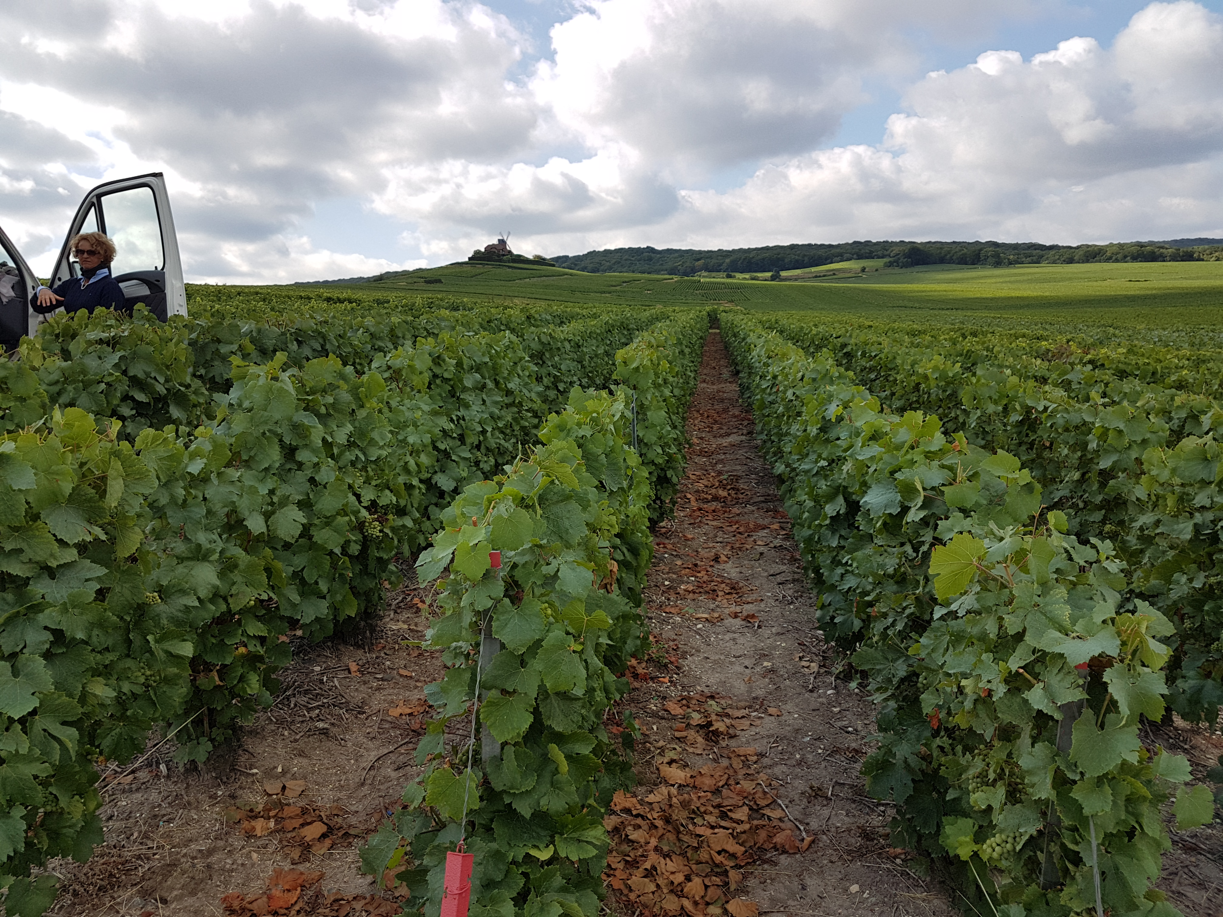 Photo n° 1 de l'avis de TWIN.A fait le 04/10/2019 à 14:05