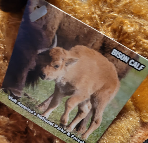 Visitor Center «Golden Pond Visitor Center & Planetarium», reviews and photos, 238 Visitor Center Dr, Golden Pond, KY 42211, USA