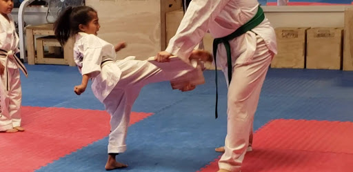 JT Taekwondokarate kickboxing and fitness image