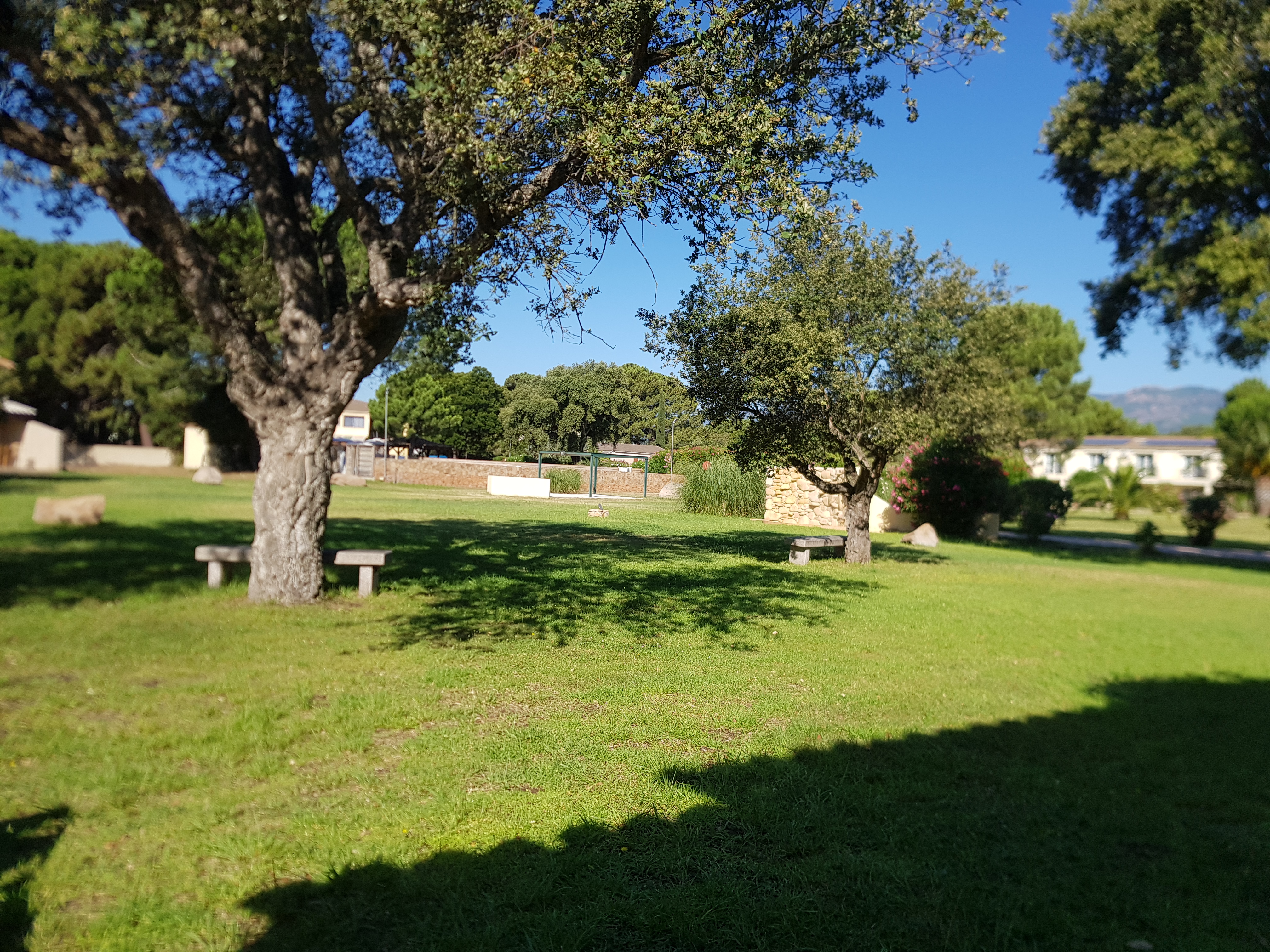 Photo n° 10 de l'avis de Jean.a fait le 10/07/2020 à 10:20