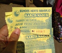 Hutan Bambu Andeman photo