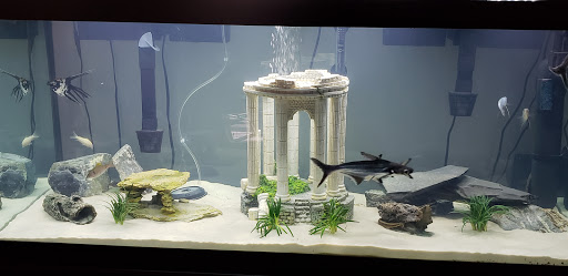 Pet Supply Store «Living Things», reviews and photos, 3437 PA-309, Orefield, PA 18069, USA