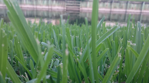 Racecourse «Gulfstream Park Racing and Casino», reviews and photos, 901 S Federal Hwy, Hallandale Beach, FL 33009, USA