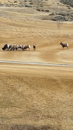 Golf Club «Cedar Hills Golf Club», reviews and photos, 10640 Clubhouse Dr, Pleasant Grove, UT 84062, USA