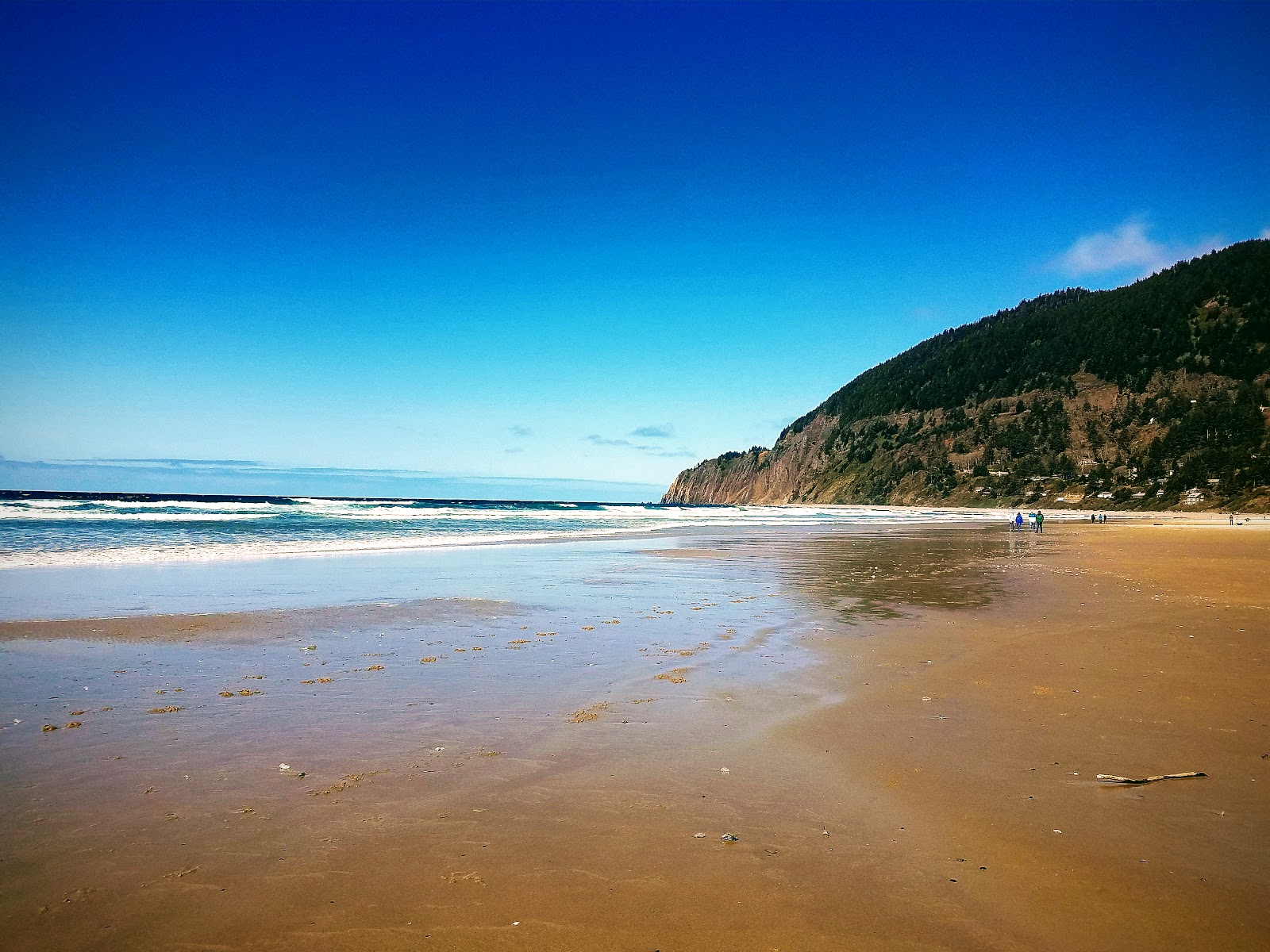 Manzanita Beach'in fotoğrafı düz ve uzun ile birlikte
