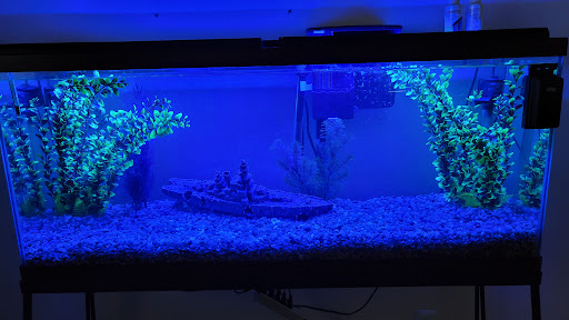 Pet Store «Animal Attraction», reviews and photos, 2518 11th Ave, Greeley, CO 80631, USA