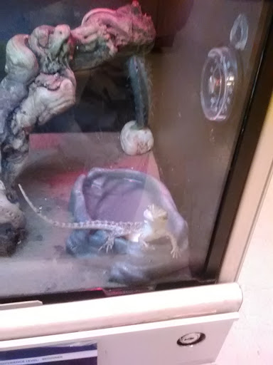 Pet Supply Store «PetSmart», reviews and photos, 3033 NY-50, Saratoga Springs, NY 12866, USA