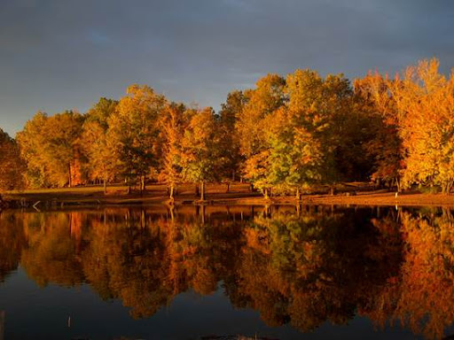 National Forest «Land Between the Lakes National Recreation Area», reviews and photos, 238 Visitor Center Dr, Golden Pond, KY 42211, USA
