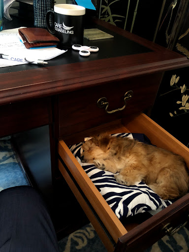 Office Supply Store «Office Depot», reviews and photos, 1005 Plymouth Rd, Minnetonka, MN 55305, USA