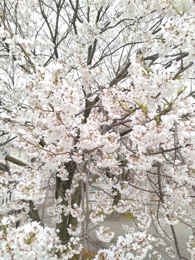 泉本町あすなろ公園