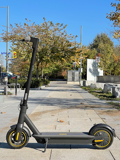Hamilton_scooters