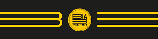 BIA3 Consultores