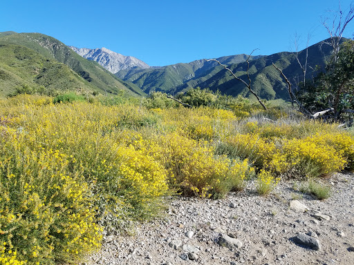 Nature Preserve «North Etiwanda Preserve», reviews and photos, 4890 Etiwanda Ave, Rancho Cucamonga, CA 91739, USA