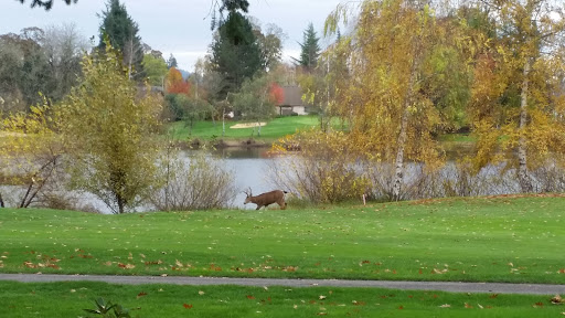 Private Golf Course «Michelbook Country Club», reviews and photos, 1301 NW Michelbook Ln, McMinnville, OR 97128, USA