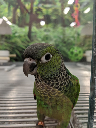 Pet Supply Store «Petco Animal Supplies», reviews and photos, 3537 Washtenaw Ave, Ann Arbor, MI 48104, USA