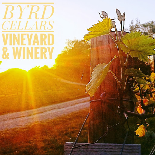 Winery «Byrd Cellars», reviews and photos, 5847 River Rd W, Goochland, VA 23063, USA