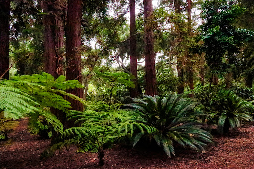 Descanso Gardens image